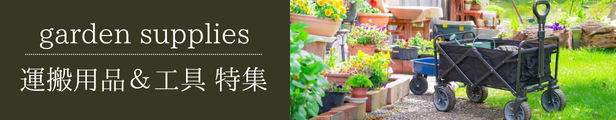 Banner Image 2